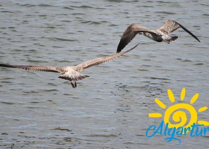 דירה Ria Sea View By Algartur קבאנס דה טאבירה