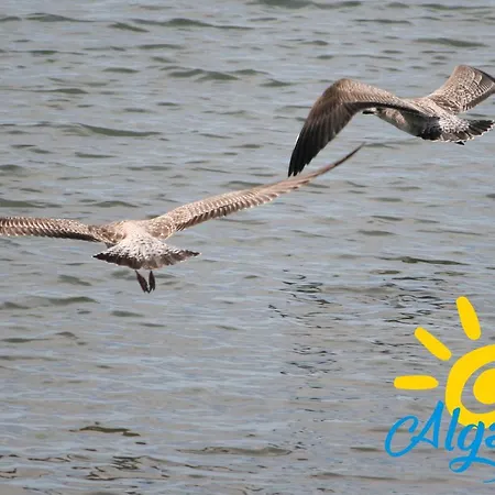 Apartment Ria Sea View By Algartur Cabanas De Tavira