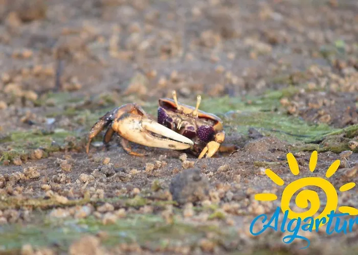 Ria Sea View By Algartur Кабанаш-де-Тавира