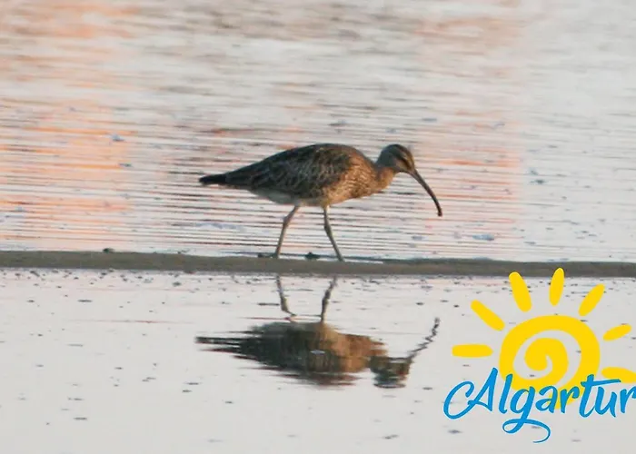 Ria Sea View By Algartur *